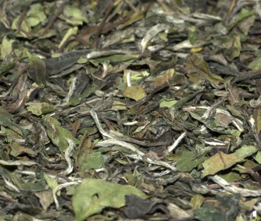 white-tea-china-pai-mu-tan