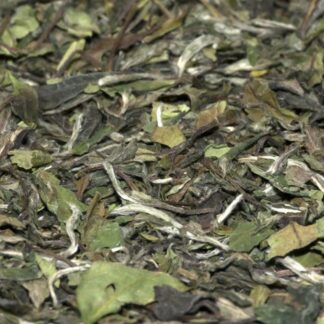 biologische-white-tea-china-pai-mu-tan