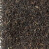 darjeeling