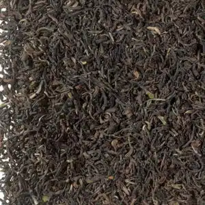 darjeeling