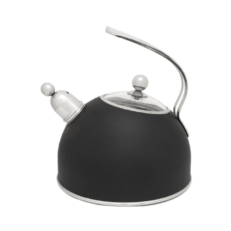Zwarte Fluitketel van RVS